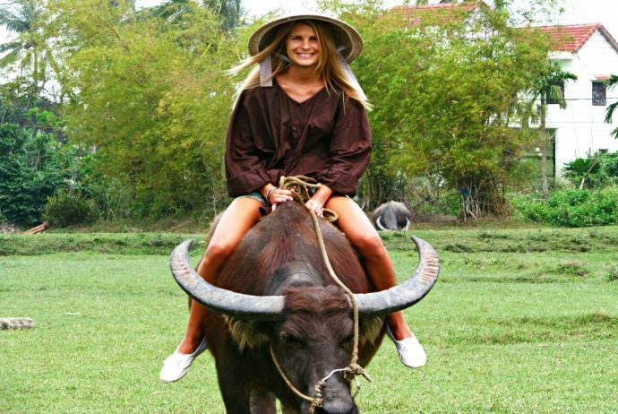 Why tourists enjoy riding a buffalo in Hoi An countryside 