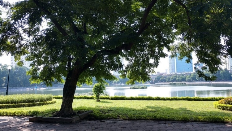 indira gandhi park – a green open space in the center of hanoi vietnam photos - indira gandhi park