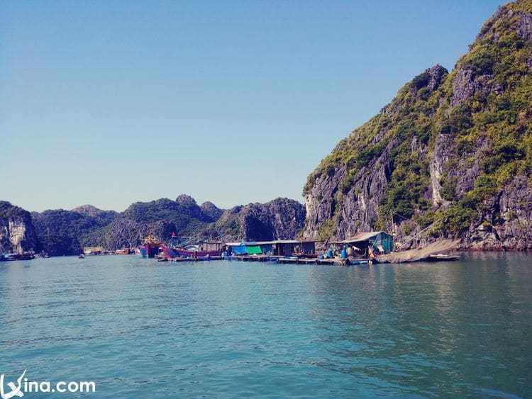 lan ha bay vietnam photos - lan ha bay photos