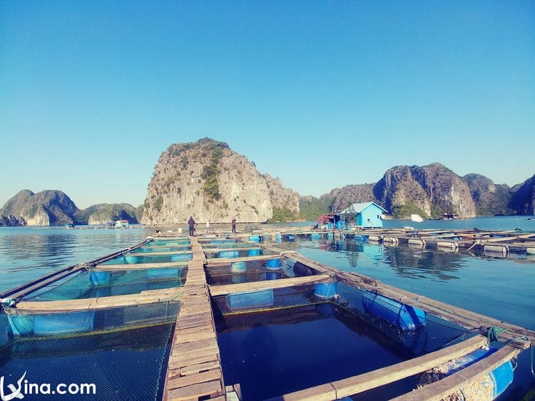 lan ha bay in cat ba island photos vietnam photos - lan ha bay photos