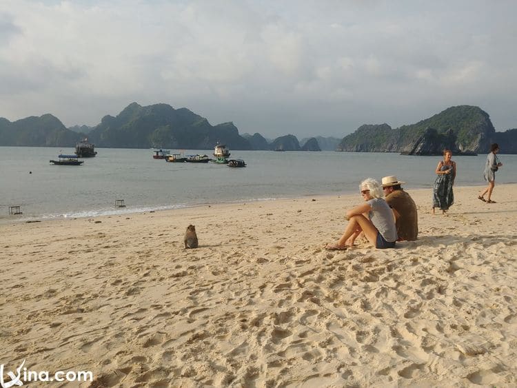 lan ha bay in cat ba island photos vietnam photos - lan ha bay photos