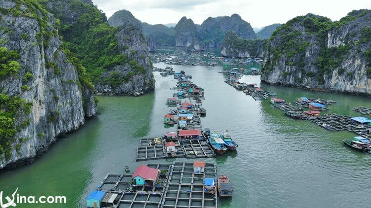 lan ha bay photo in cat ba island vietnam photos - lan ha bay photos
