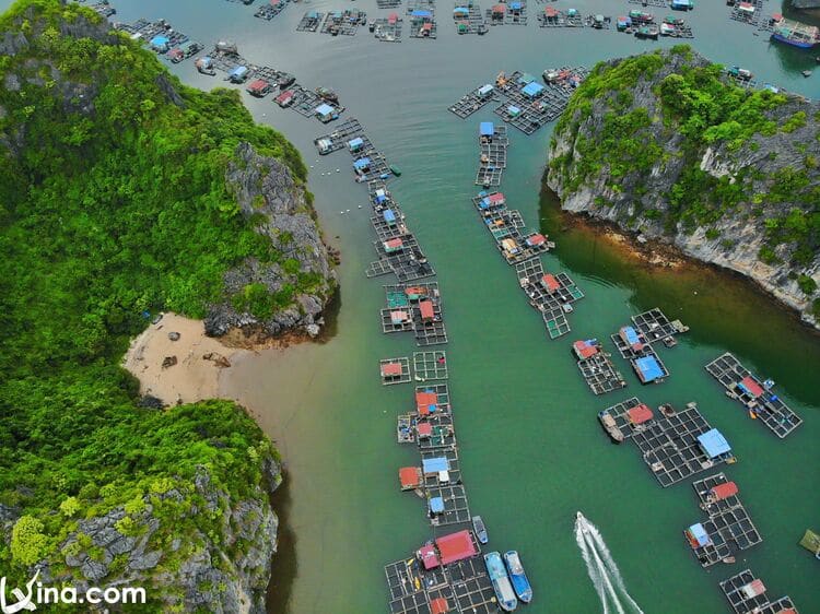 lan ha bay in cat ba island vietnam photos - lan ha bay photos