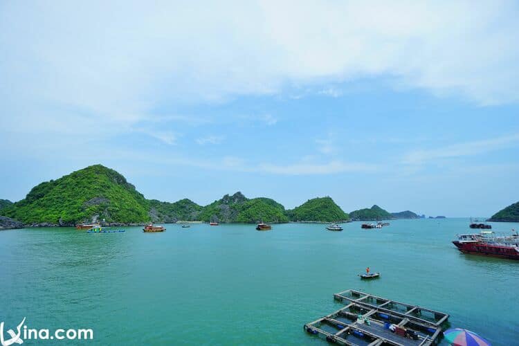 lan ha bay photos in hai phong vietnam photos - lan ha bay photos