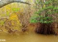 vietnam photos - famous landscapes photos in hue