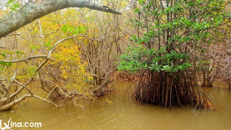 landscapes in hue vietnam photos - famous landscapes photos in hue