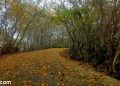 vietnam photos - famous landscapes photos in hue