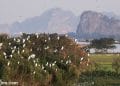 vietnam photos - photos of natural landscapes in ninh binh