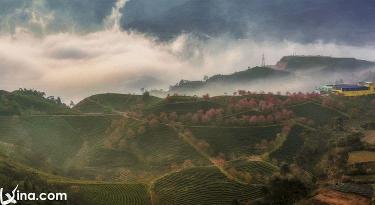 landscapes of sapa vietnam photos – landscapes of sapa