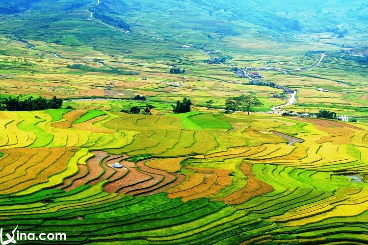 Yen Bai In September Photos: Landscapes & Cultural Activities In Vietnam Travel
