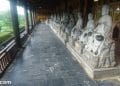 vietnam photos - photos of natural landscapes in ninh binh