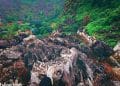 vietnam photos - photos of natural landscapes in ninh binh