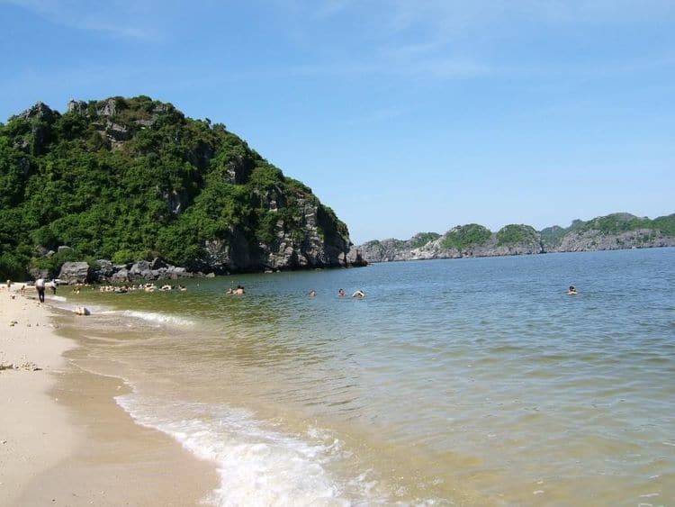 ngoc vung island in halong bay