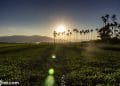 vietnam photos - nha trang in winter and spring vietnam