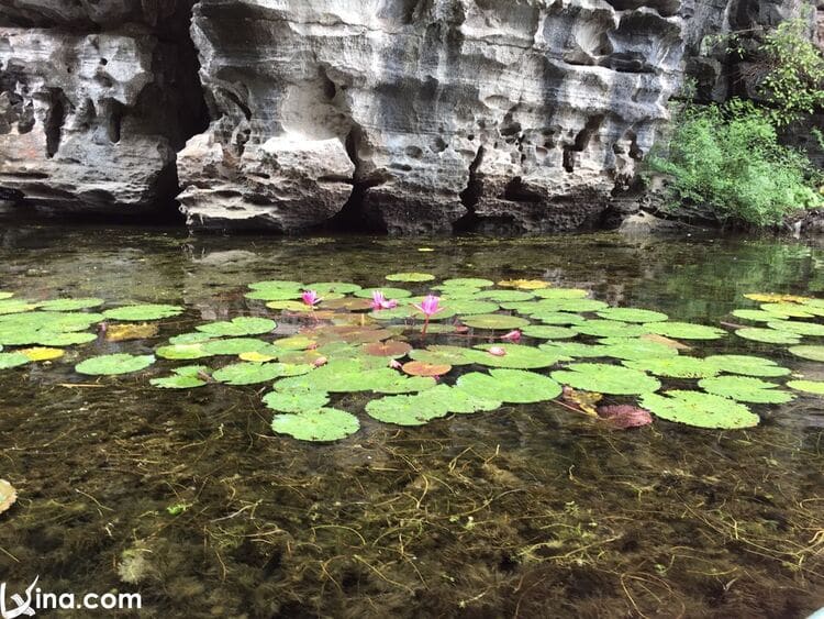 landscapes in ninh binh vietnam vietnam photos - photos of natural landscapes in ninh binh
