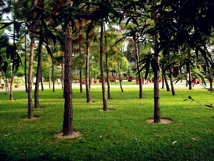 overview information about gia dinh park vietnam photos - gia dinh park