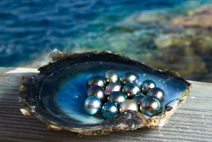 things to do in Phu Quoc