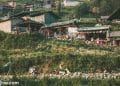vietnam photos - landscapes of sapa