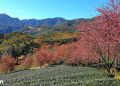 vietnam photos - landscapes of sapa