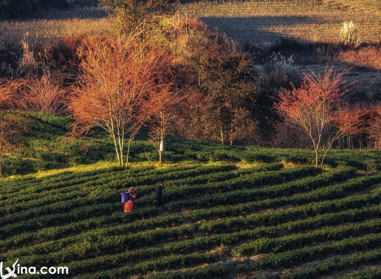 landscapes of sapa vietnam photos – landscapes of sapa