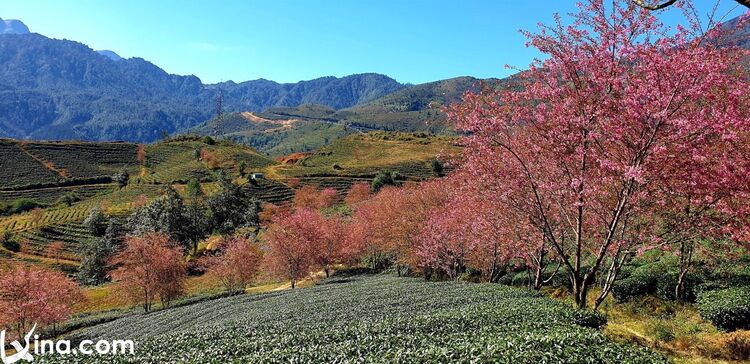 photos of sapa landscapes vietnam photos - landscapes of sapa