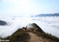 vietnam photos - photos of ta xua landscape in 2020