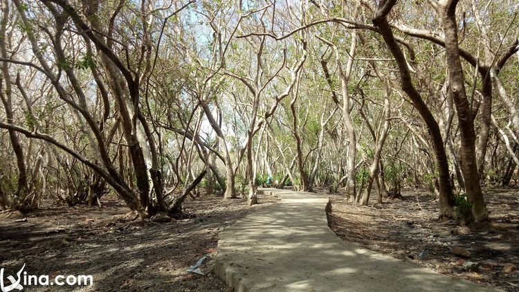 photo in hue city vietnam vietnam photos - famous landscapes photos in hue