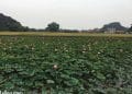 vietnam photos - photos of natural landscapes in ninh binh