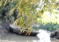 vietnam photos - photos of natural landscapes in ninh binh