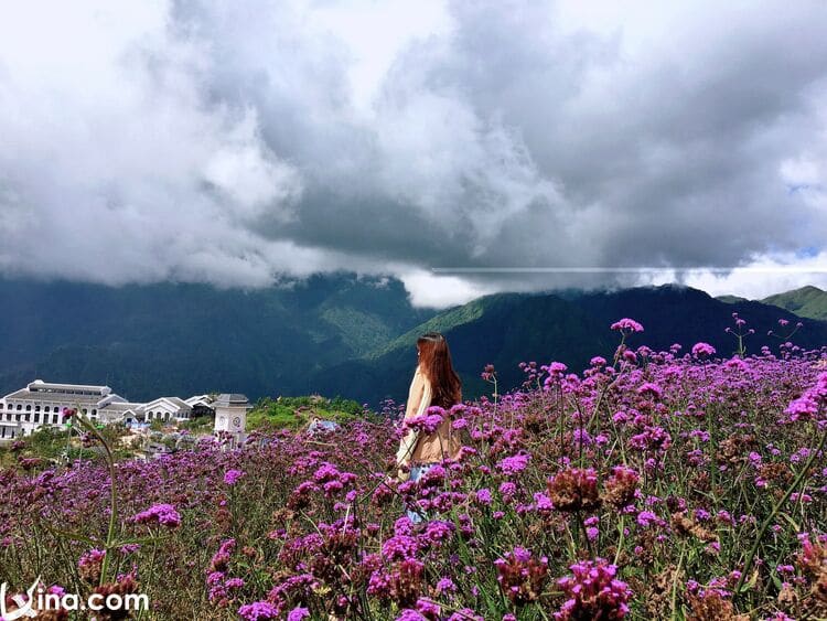 beautiful photos of sapa landscapes in vietnam vietnam photos - landscapes of sapa