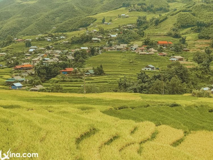 sapa vietnam photos - beautiful photos of sapa landscapes