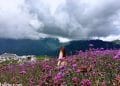 vietnam photos - landscapes of sapa