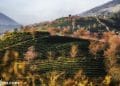 vietnam photos – landscapes of sapa