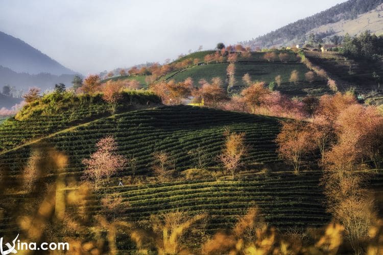 landscapes of sapa vietnam photos – landscapes of sapa