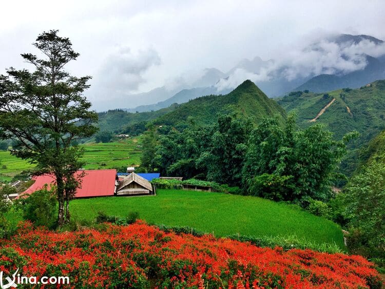 photo of sapa landscapes in vietnam vietnam photos - landscapes of sapa