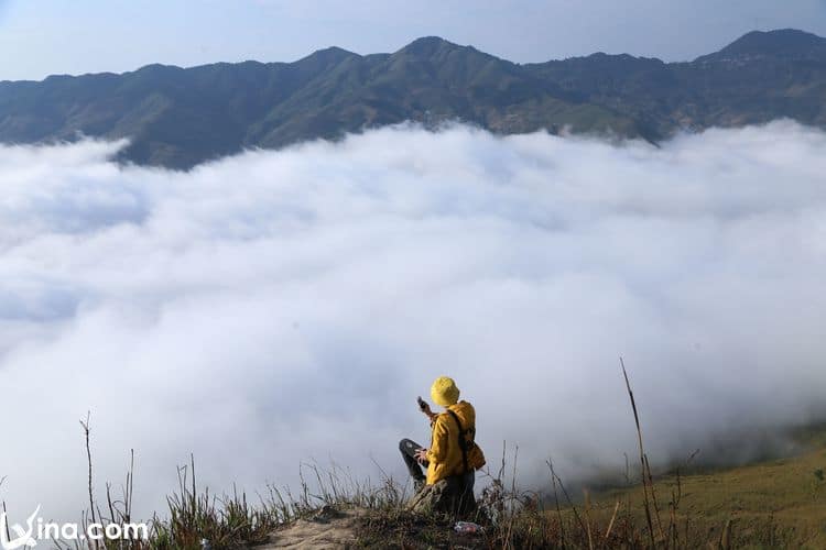 photos of ta xua landscape in 2020 in vietnam vietnam photos - photos of ta xua landscape in 2020