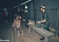 vietnam photos - phu quoc prison photos