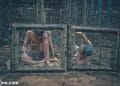 vietnam photos - phu quoc prison photos