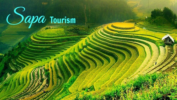 sapa-tourism
