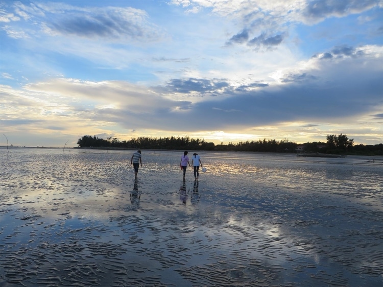 some tips on visiting can gio vietnam photos - can gio