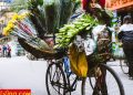 vietnam photos - street hawkers in hanoi
