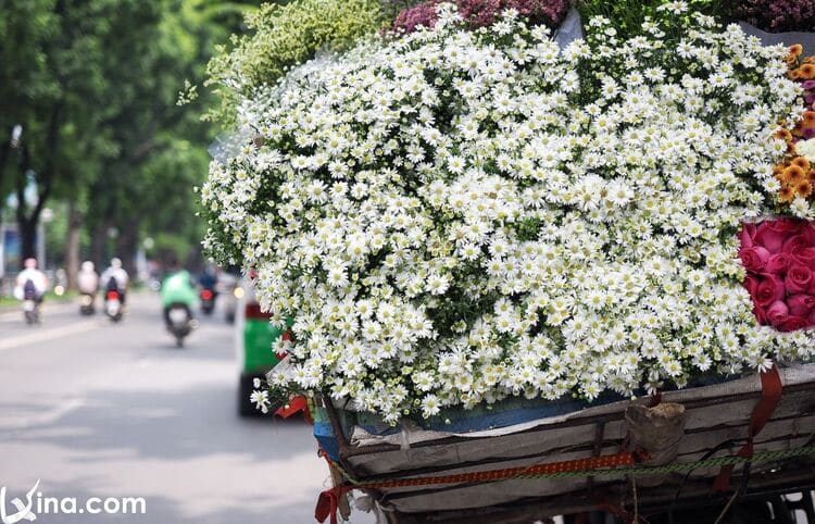 street vendors vietnam photos - street vendors