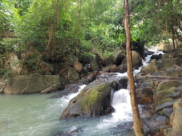 suoi tien in vung tau