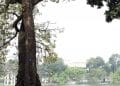 vietnam photos - sword lake