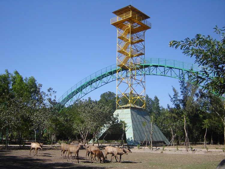 tang bong tower vietnam photos - vam sat ecological tourist site