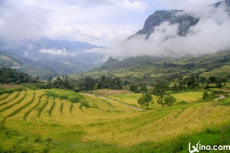 The Mystical Beauty of Y Ty Photos in the Fog in Lao Cai Province, Vietnam