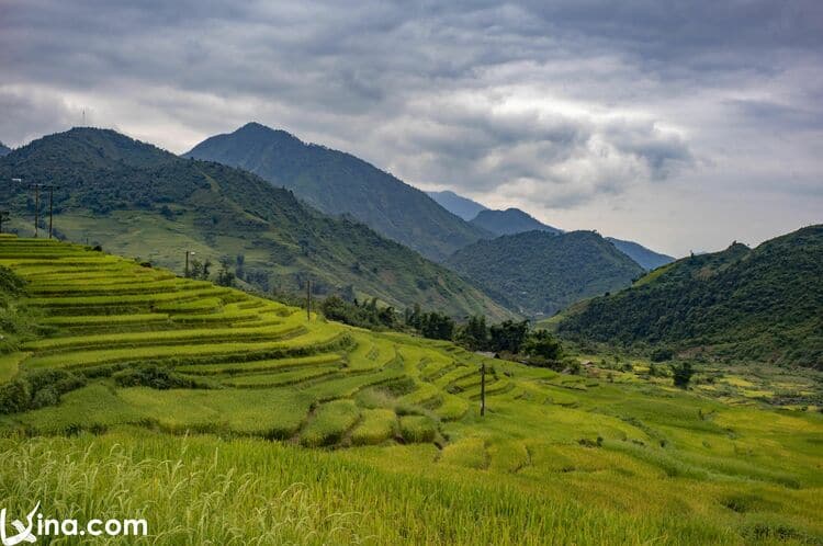 vietnam photos - the beauty of y ty