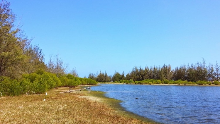 the diverse forest binh chau - phuoc buu nature reserve in vung tau