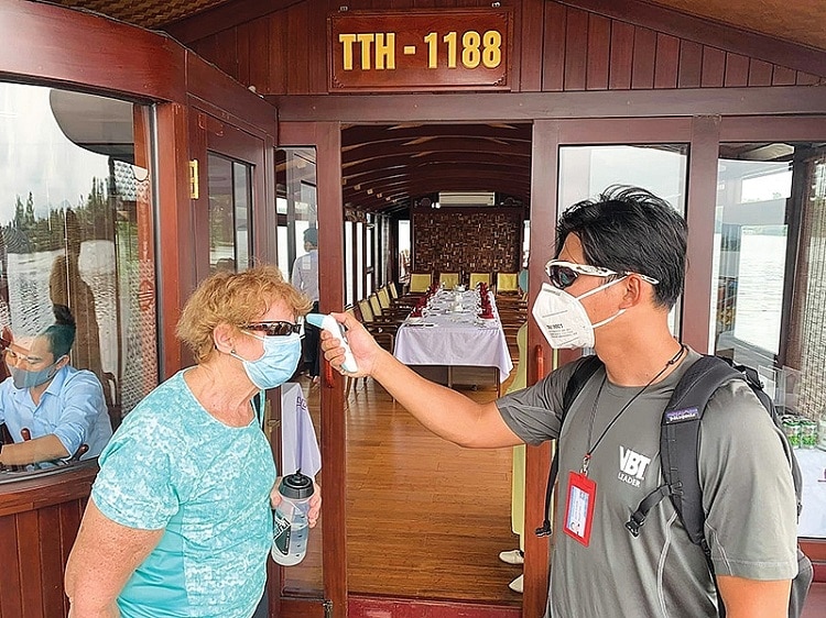 Tourists Describe Unique Escapades – Travel News