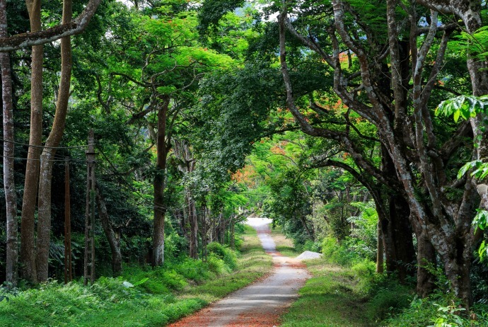 Trekking in Vietnam